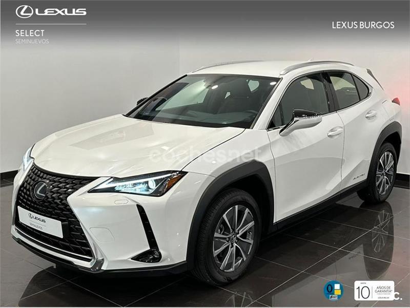 LEXUS UX 300e Business