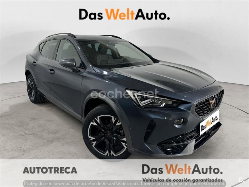 CUPRA Formentor 2.0 TDI 110kW 150 CV 4Drive DSG