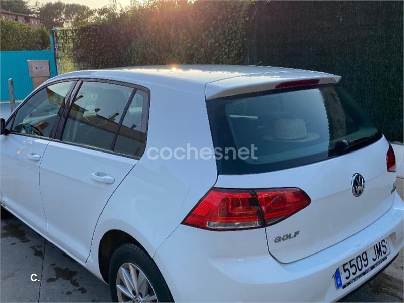 VOLKSWAGEN Golf Bluemotion 1.6 TDI 110cv 5p.