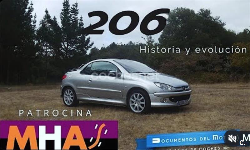 PEUGEOT 206 2.0 2p.