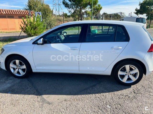 VOLKSWAGEN Golf Bluemotion Business 1.6 TDI