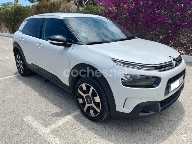 CITROEN C4 Cactus PureTech 110 SS Shine 5p.