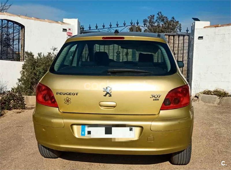 PEUGEOT 307