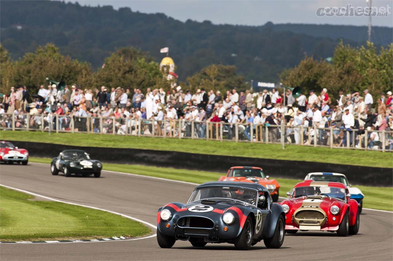 El V8 de los Cobra originales sigue rugiendo a pleno pulmón en Goodwood. De hecho, año tras año suelen ser claros favoritos en la carrera del RAC TT Celebration.