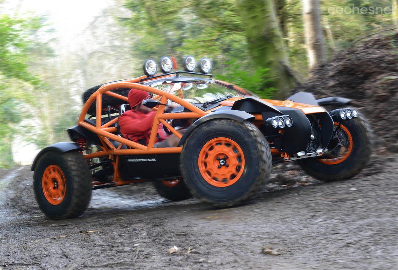 Ariel Nomad