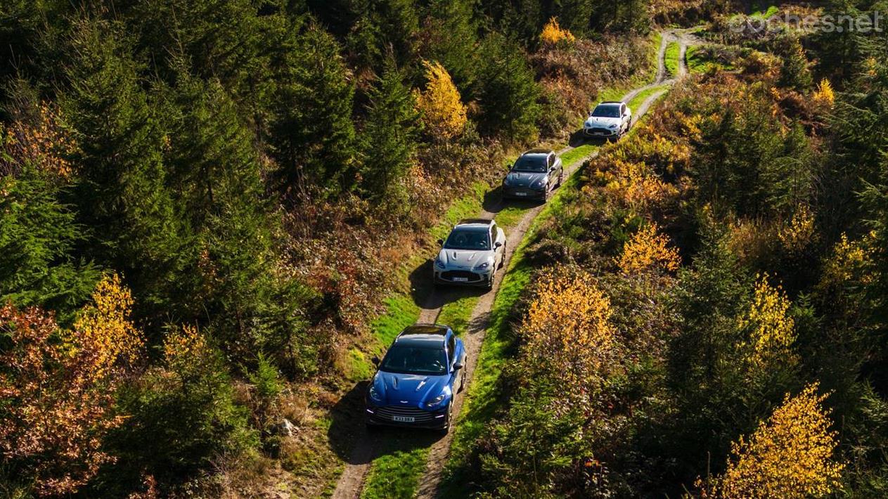 ASTON MARTIN DBX - Aston Martin nos tenía preparada una bonita ruta off road con el SUV más potente a la venta en el mundo.