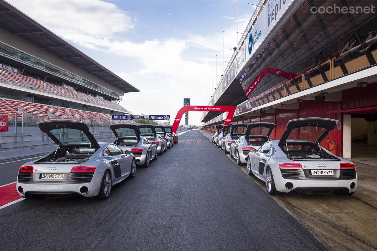 Audi Driving Experience