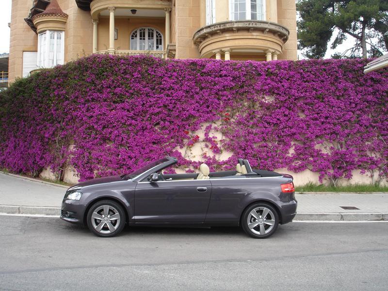 Audi A3 Cabrio 1.9 TDi 105 CV manual