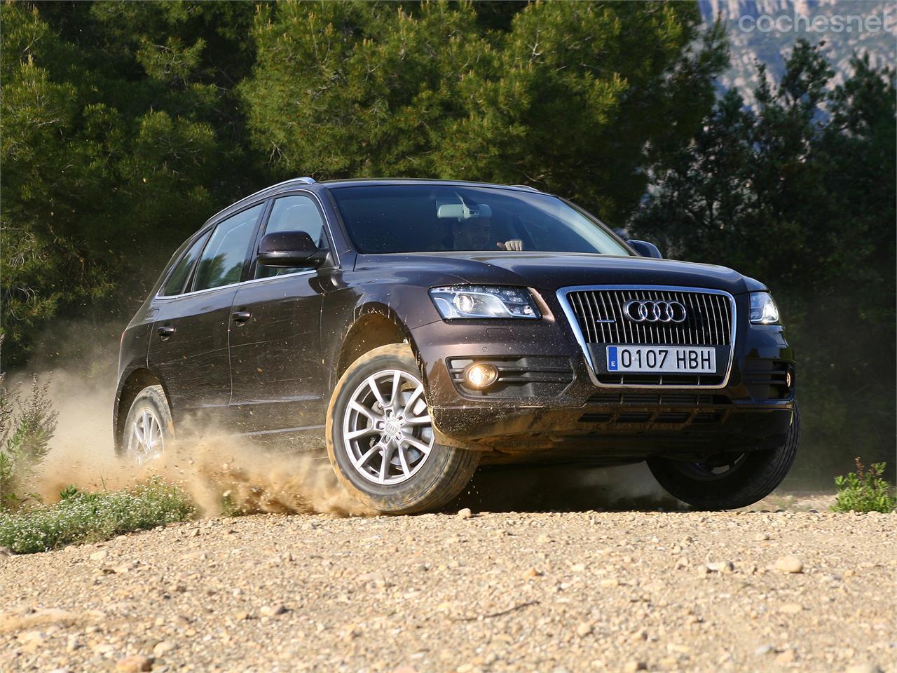 Opiniones de Audi Q5 2.0 TDI 170 CV : Elenco de cualidades