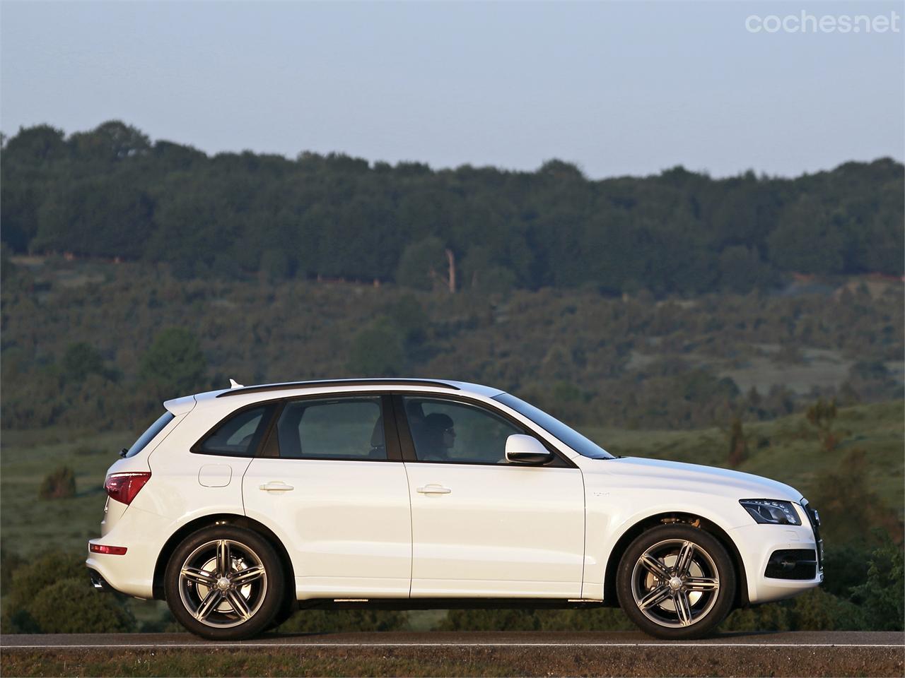Gama híbrida Audi