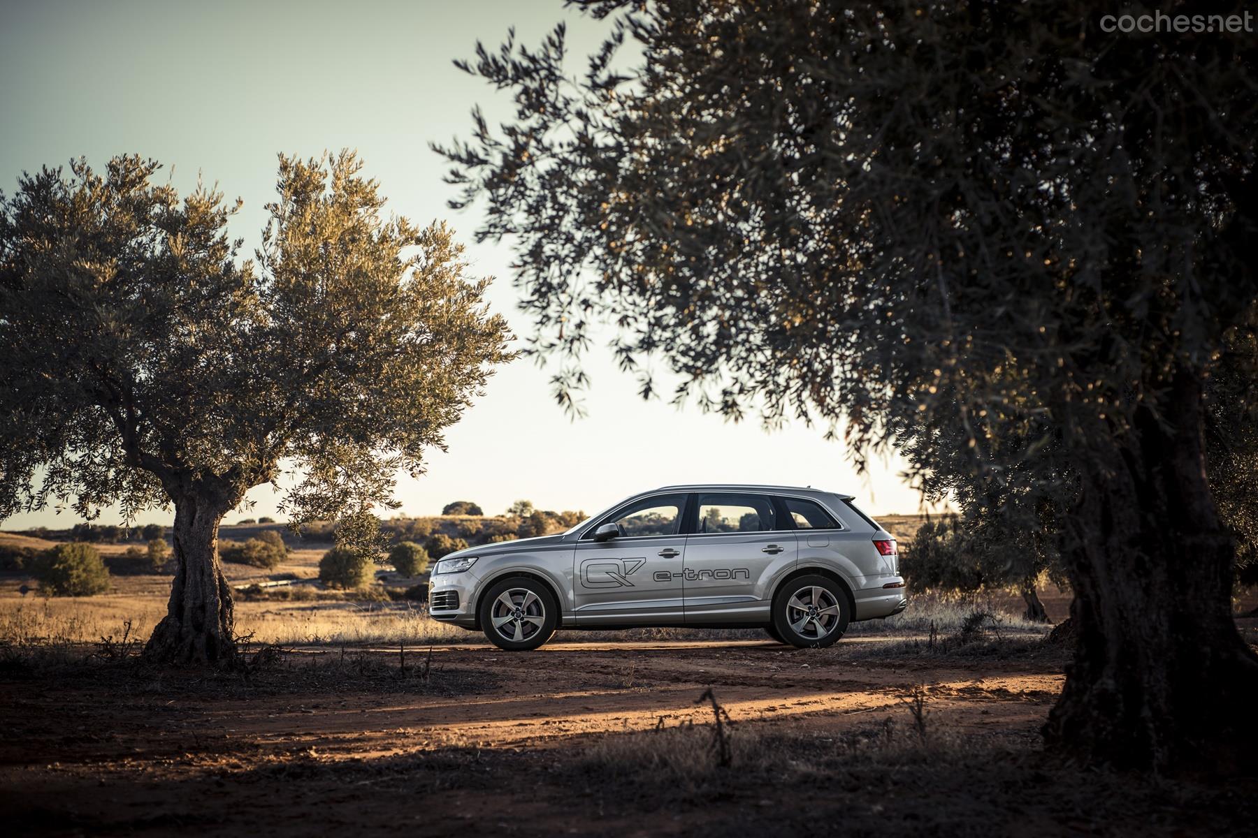 Llega en primavera con 56 km de autonomía en modo eléctrico y 1.400 km de total. Su precio arranca en 82.960 euros.