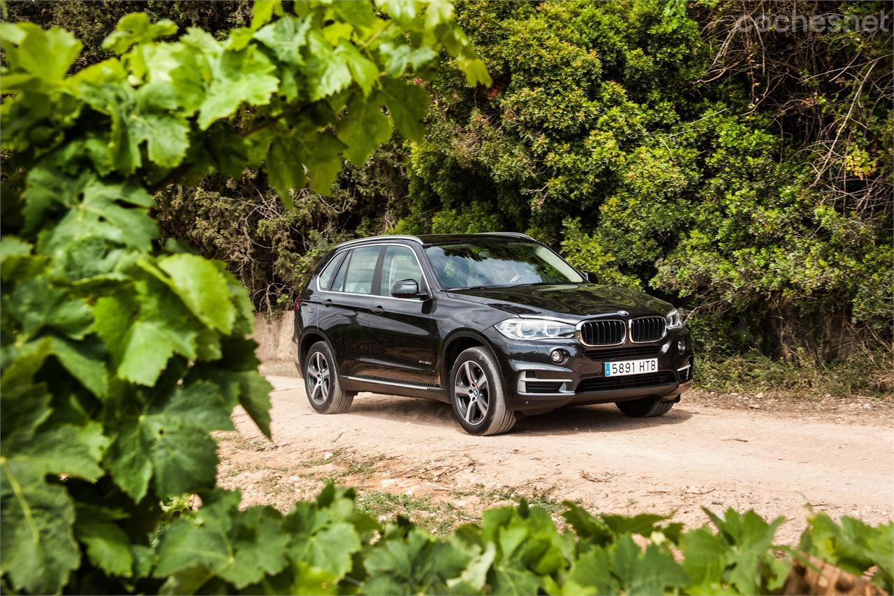 Con este BMW puedes acercarte al campo, pero debes hacerlo por pistas en buen estado. Su transmisión integral da ciertas garantías. 