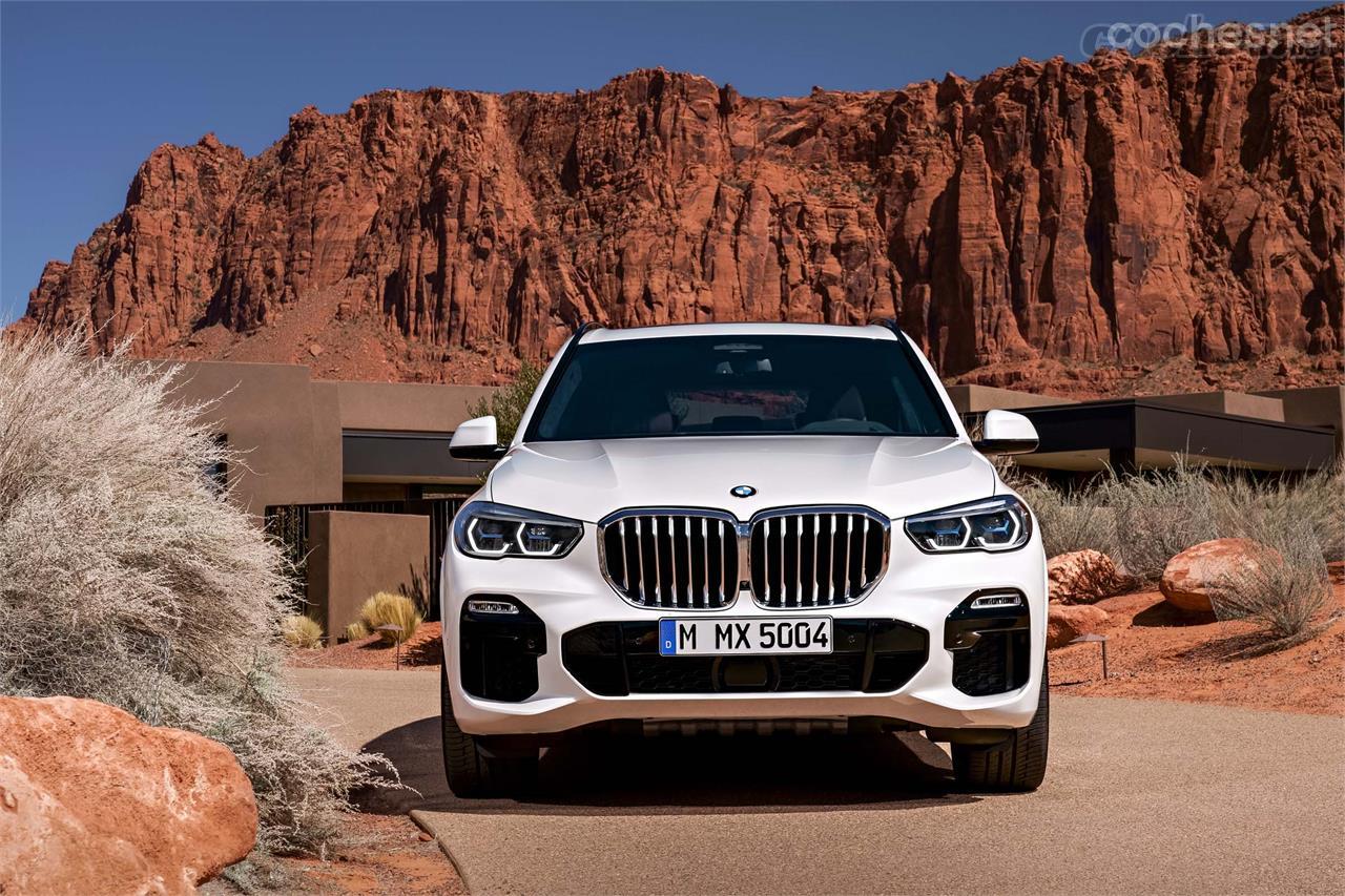 La calandra tradicional de BMW presenta esta vez dos riñones tamaño XXXL. 