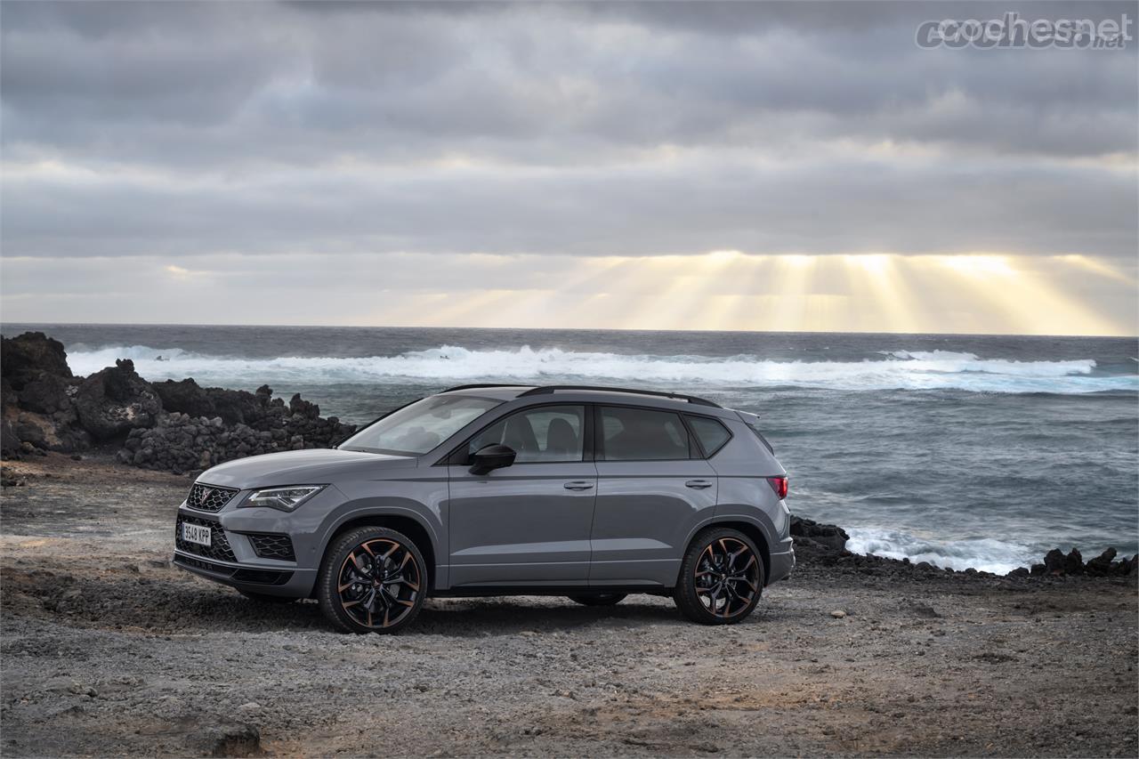 Cupra Ateca Limited Edition: solo 350 unidades