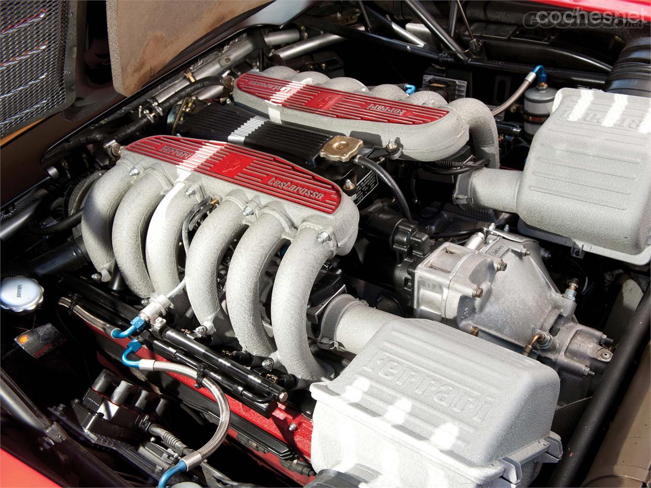 El 12 cilindros bóxer del 512 TR brindaba 428 CV de potencia máxima y un par máximo de 488 Nm. Su punta era de 314 km/h y alcanzaba los 100 km/h en 4,8 segundos.