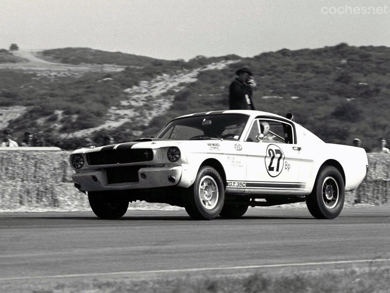 Hoy en día el Shelby GT350R sigue brillando todavía en las carreras de vehículos históricos como el Goodwood Revival, su cotización ronda el millón de dólares.