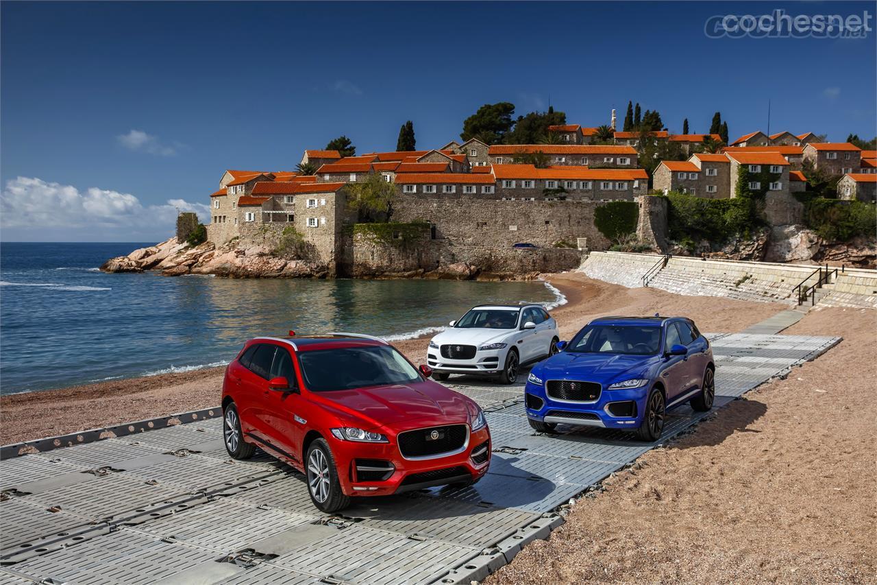 La gama completa del F-Pace estará disponible desde el lanzamiento. Jaguar ofrece numerosas de motores, transmisiones y equipamientos.