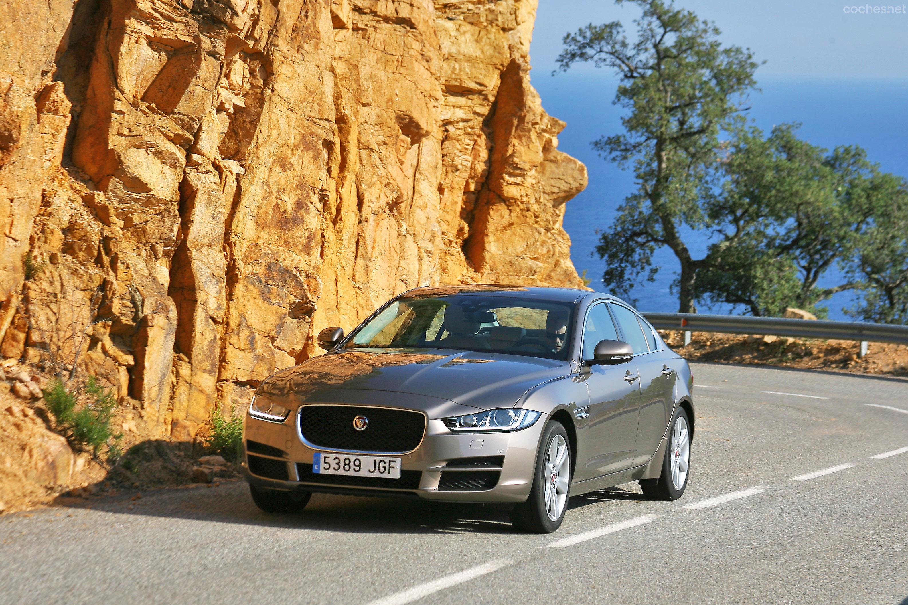 Bellas y elegantes líneas las del nuevo Jaguar XE, que visto de frente parece un XF en pequeño. Probamos la versión diésel con 180 CV. (Fotos: Eloy García)