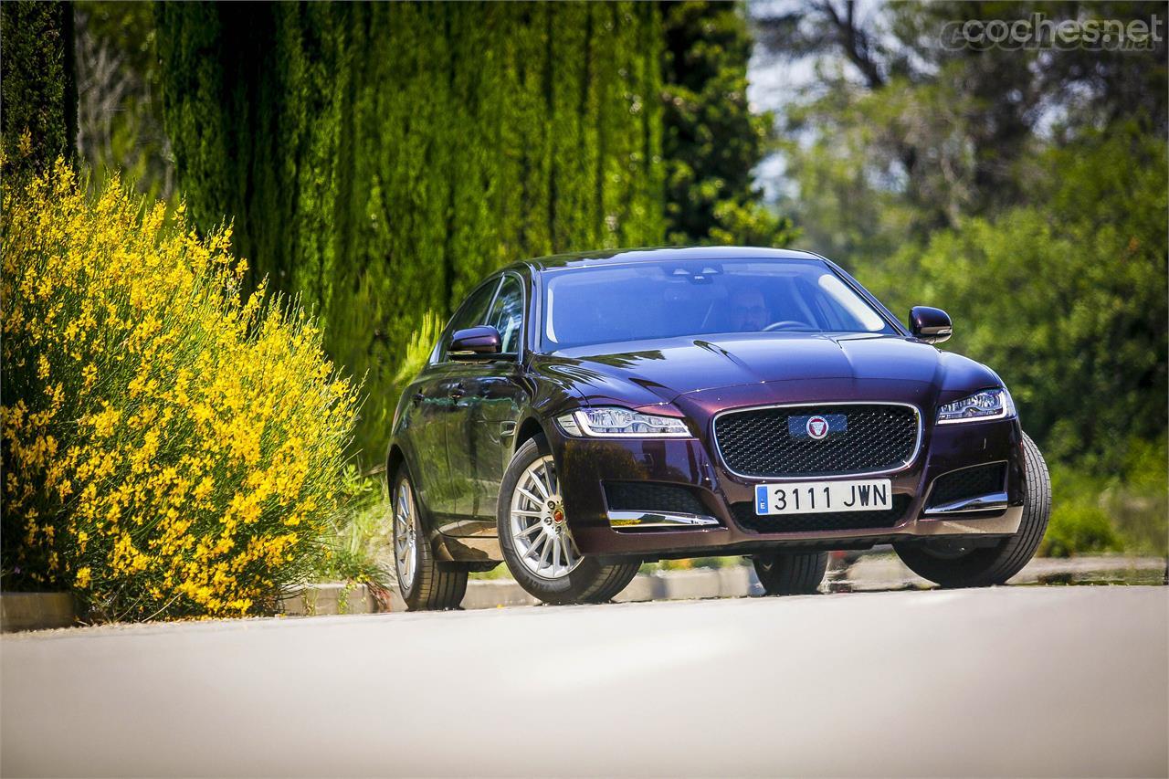 La estética de esta nueva generación del XF está en línea con el resto de Jaguar, con un capó muy bajo en la parte delantera y la tradicional parrilla de la marca.