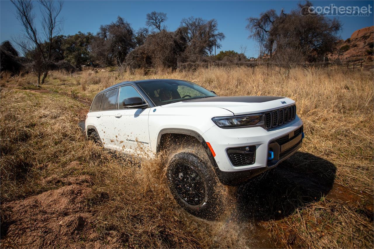 Reductora, suspensión neumática, selector de modos de tracción, estabilizadora delantera desconectable... El modelo Trailhawk lo tiene todo para atreverse con todo.