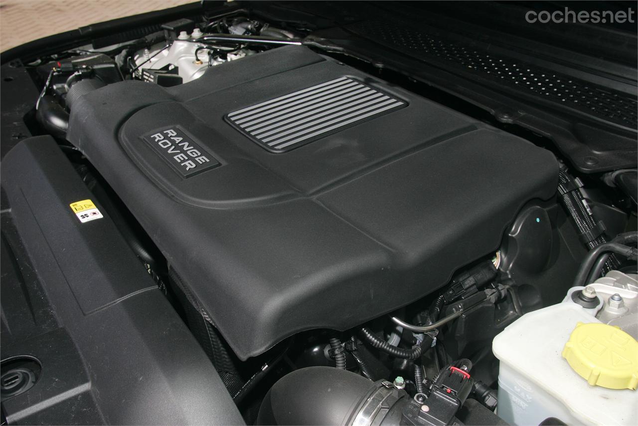 El V8 ofrece un par espectacular de 700 Nm. Tiene unos bajos brutales.