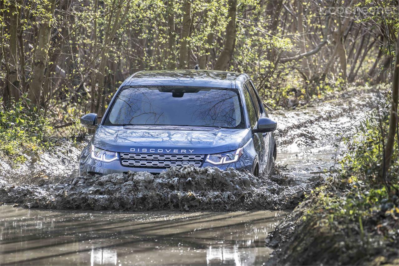 Este SUV ya está a la venta en España a partir de 39.400 €.