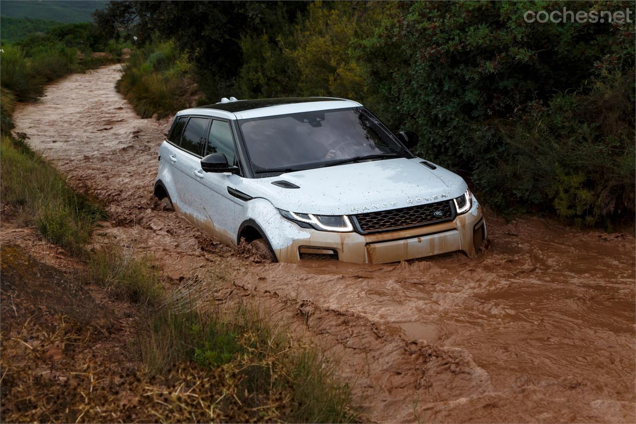 Pocos SUV, por no decir ninguno, serán capaces de pasar por donde lo hace un Evoque y si lo consiguen, no lo harán con tanta facilidad.