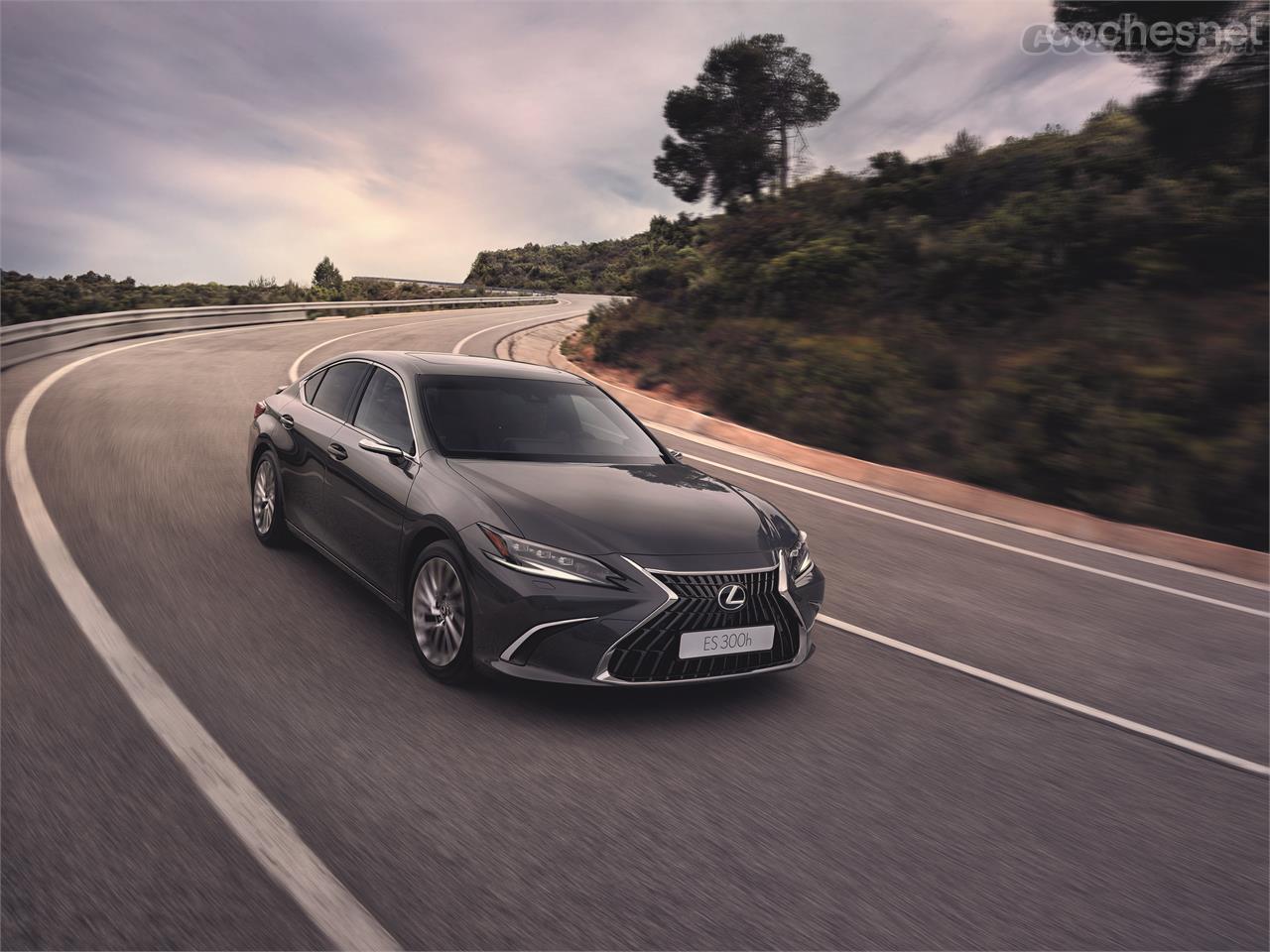 El Lexus ES 300h, con su motorización híbrida convencional de 218 CV, seguirá siendo el único modelo a la venta en España.