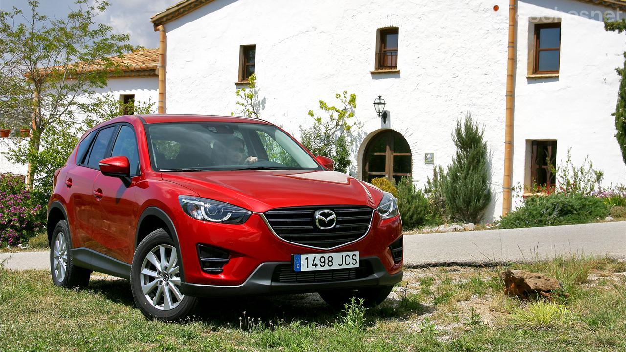 Pruebas Mazda Cx 5 Noticias Coches Net