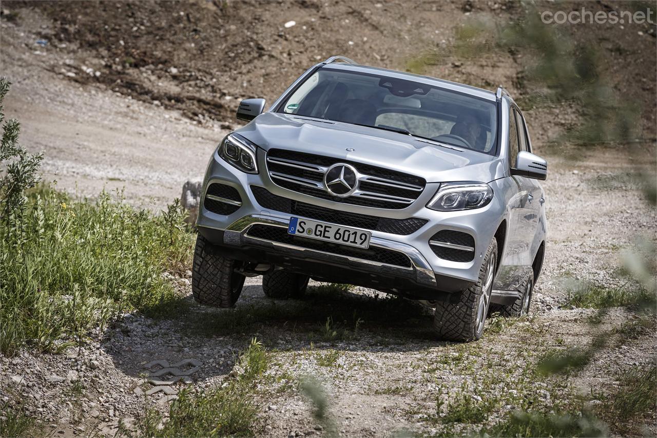 Los nuevos faros, la nueva forma de capó o la parrilla identifican el nuevo Mercedes-Benz GLE. 