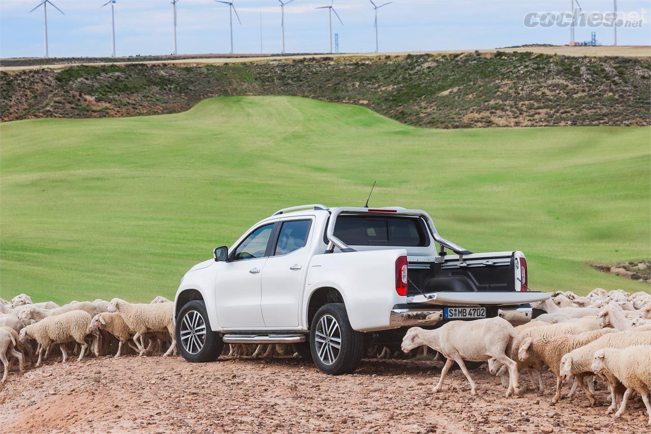 El nuevo pickup de Mercedes ya está a la venta en España. Las ovejas no están incluidas.