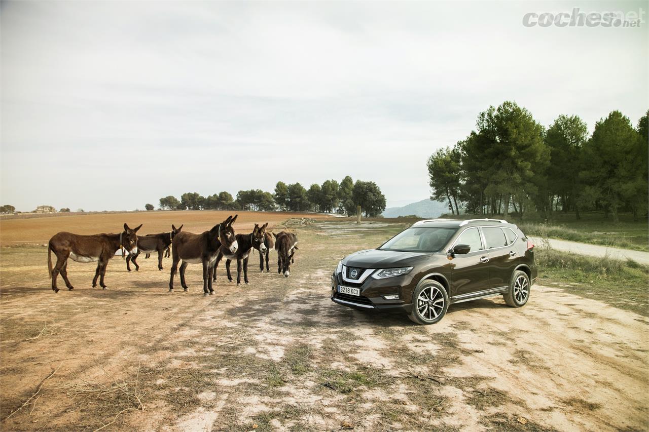 Si nos gusta ir de excursión por el campo, este Nissan X-Trail 4x4 es una de las mejores soluciones.