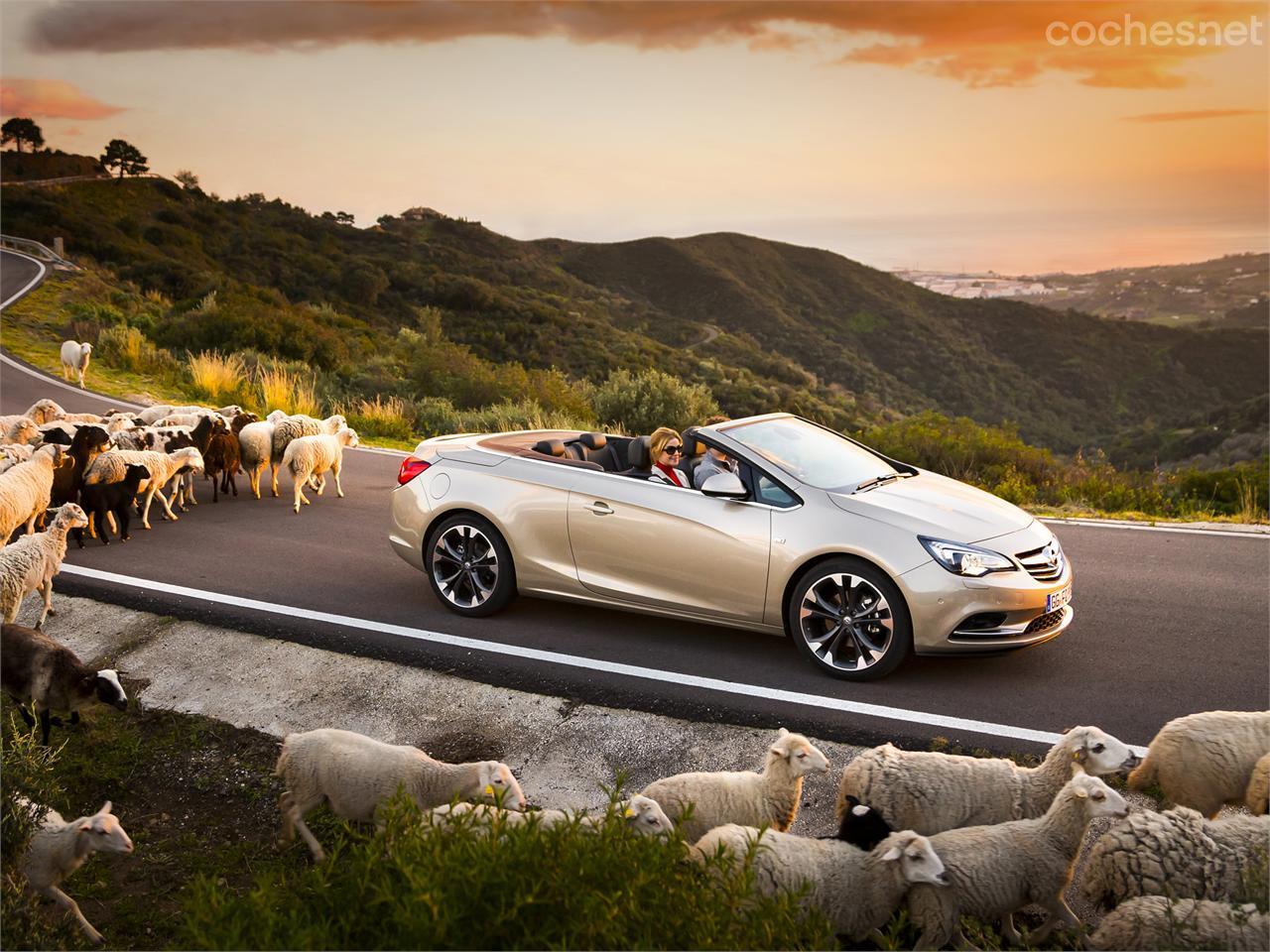 Opel Cabrio