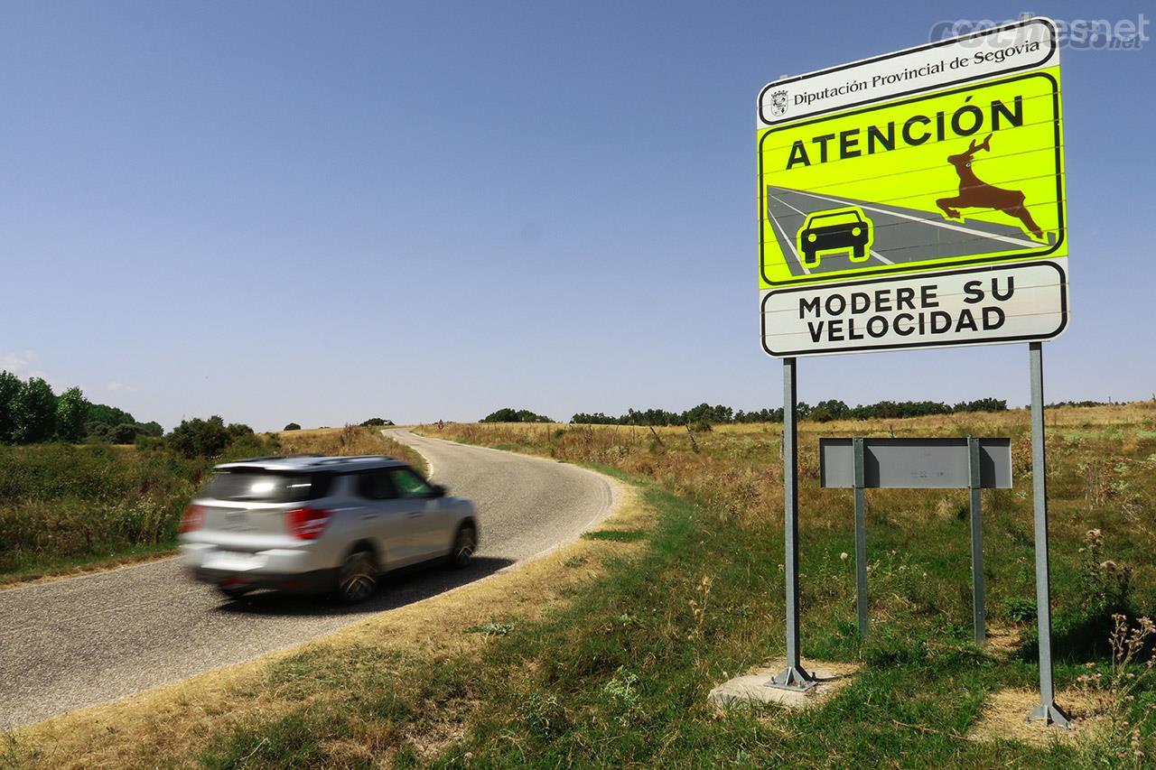 Animales sueltos en la carretera ¡Peligro!