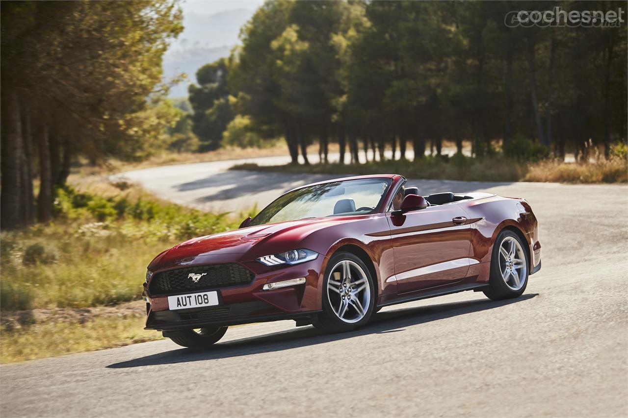 El Ford Mustang siempre será un cupé musculoso y canalla. Pero no olvidemos que tiene un hermano con capota de lona.