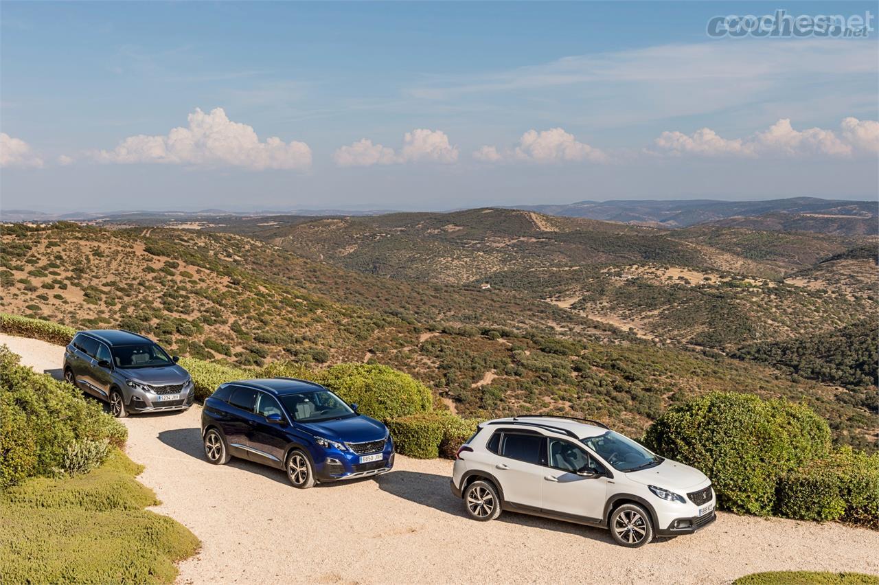 Las familias hacen cola para adquirir su nuevo SUV... ¿Motivos? Hastío hacia los modelos tradicionales, deseo de diferenciarse e "ilusión de seguridad".