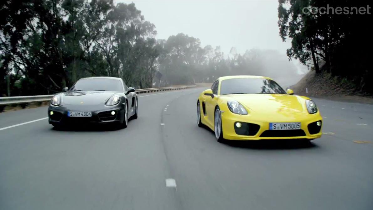 Vídeo: Porsche Cayman