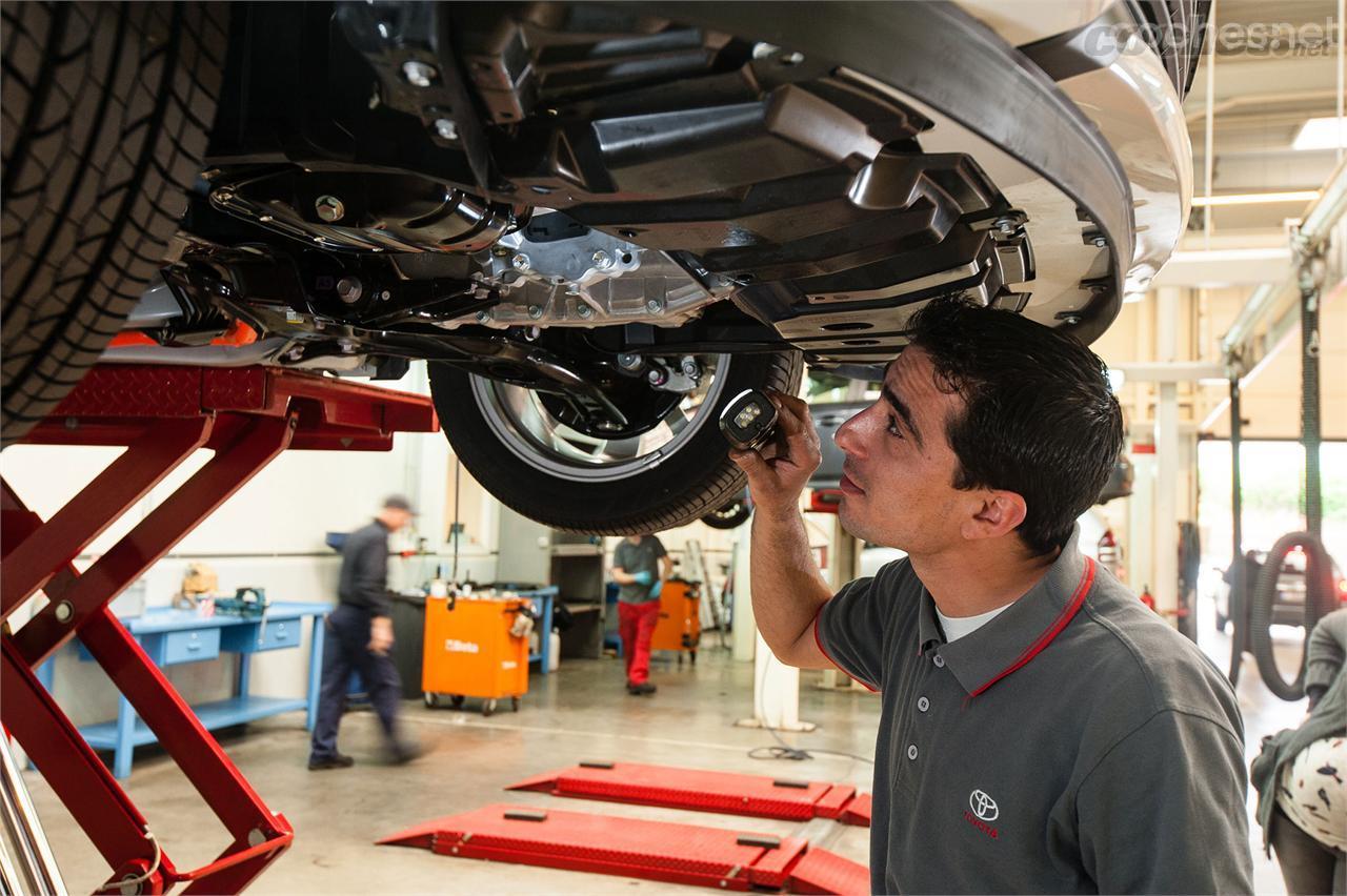 MOPAR Store Red e inmovilización de la carga para maletero para Fiat y Fiat  Professional