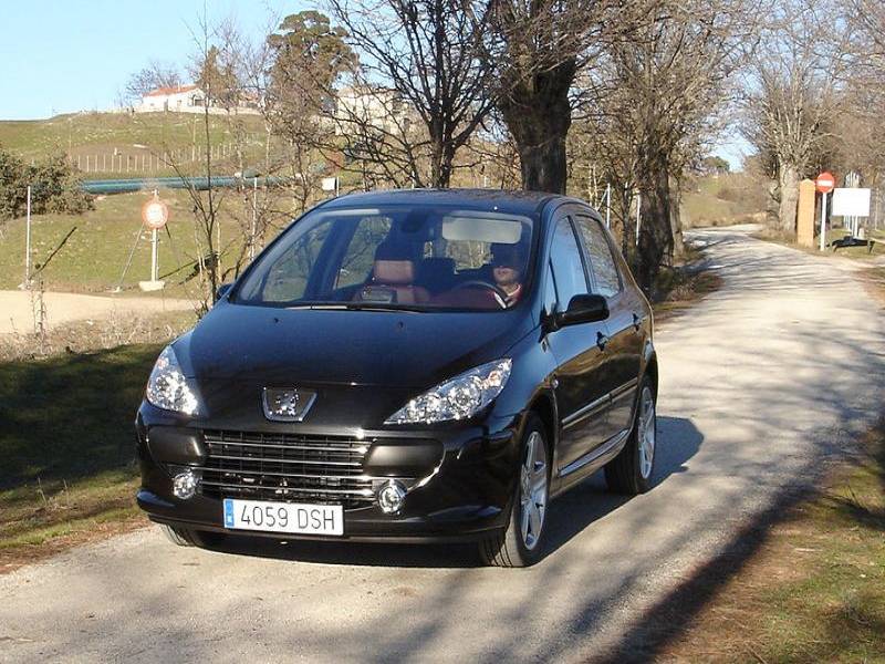 Peugeot 307 2.0 16v XS : Muy divertido