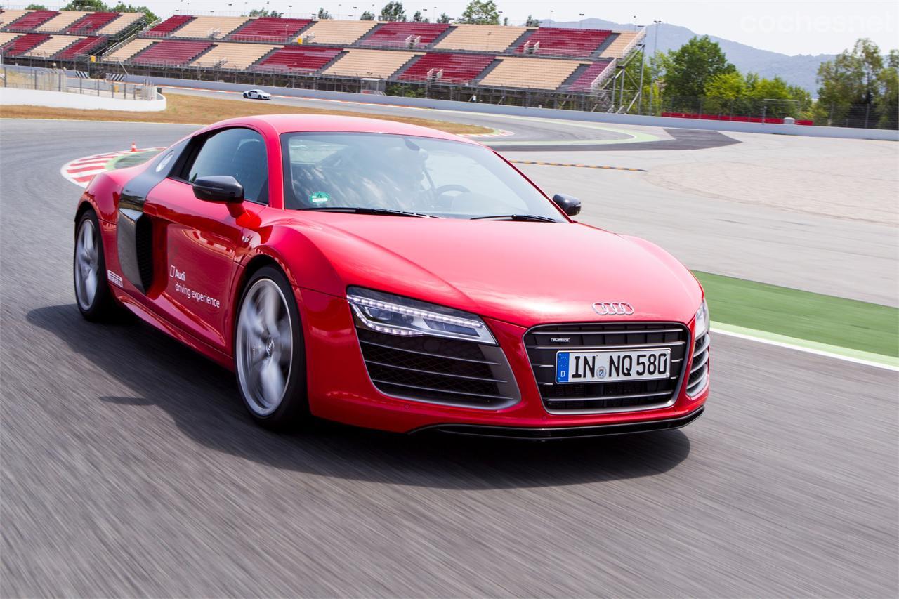 550 caballos. De 0 a 100 en 3,5 segundos. 317 km/h. Audi R8 V10 Plus.