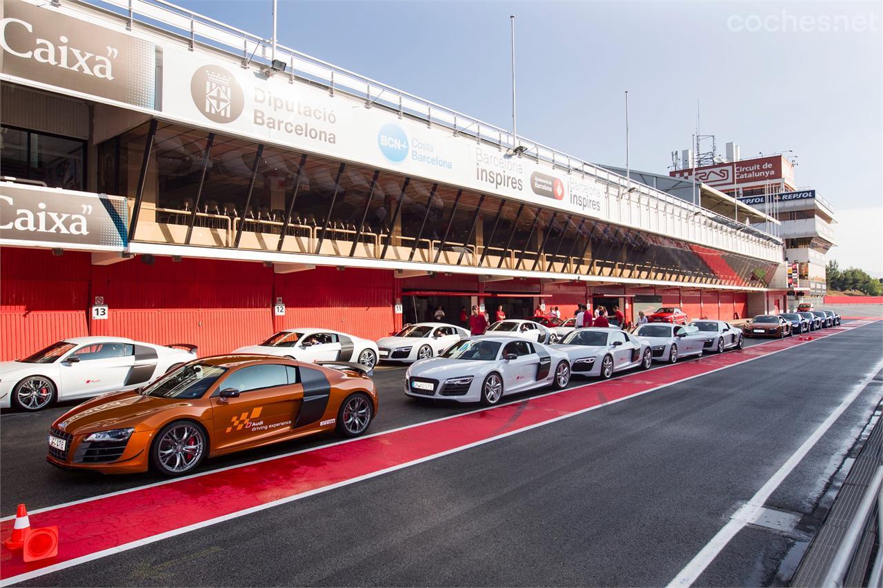 ¿Cuántos Audi R8 aparecen en esta fotografía? Nota: es una pregunta retórica.