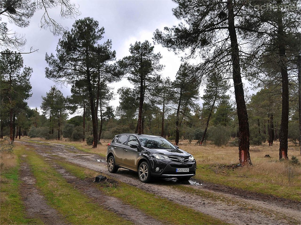 Para llegar a ciertos sitios son necesarias ciertas capacidades, las que un SUV nos ofrece.