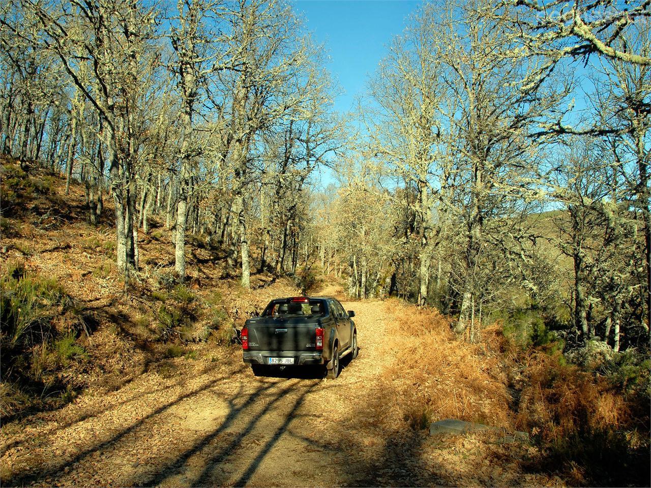 Los bosque de hoja caduca nos acompañaron en parte de nuestro itinerario.