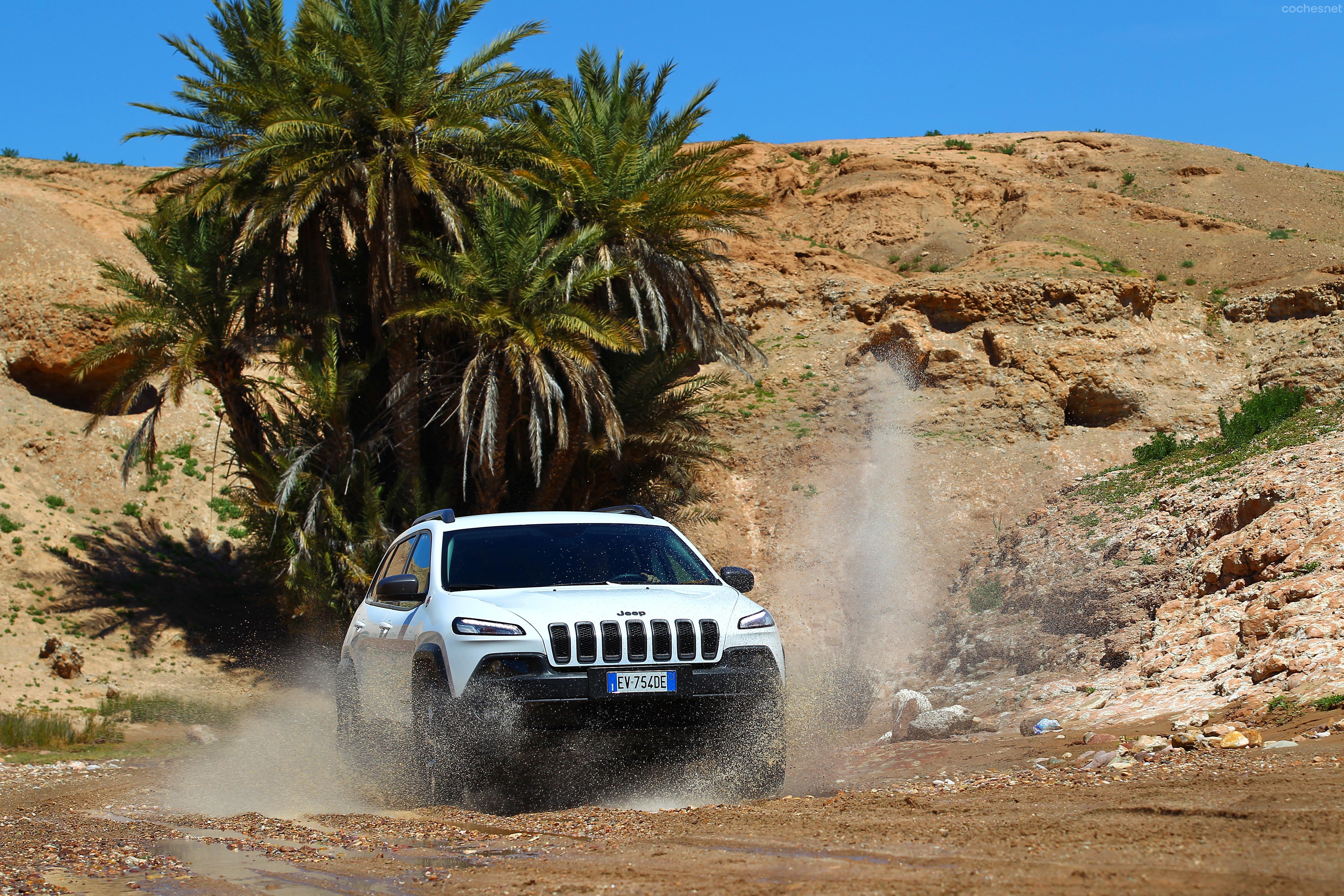 El Jeep Owners Grup, será una piedra fundamental en la estrategia de la marca, ya que se quiere potenciar el espíritu pasional por la misma.