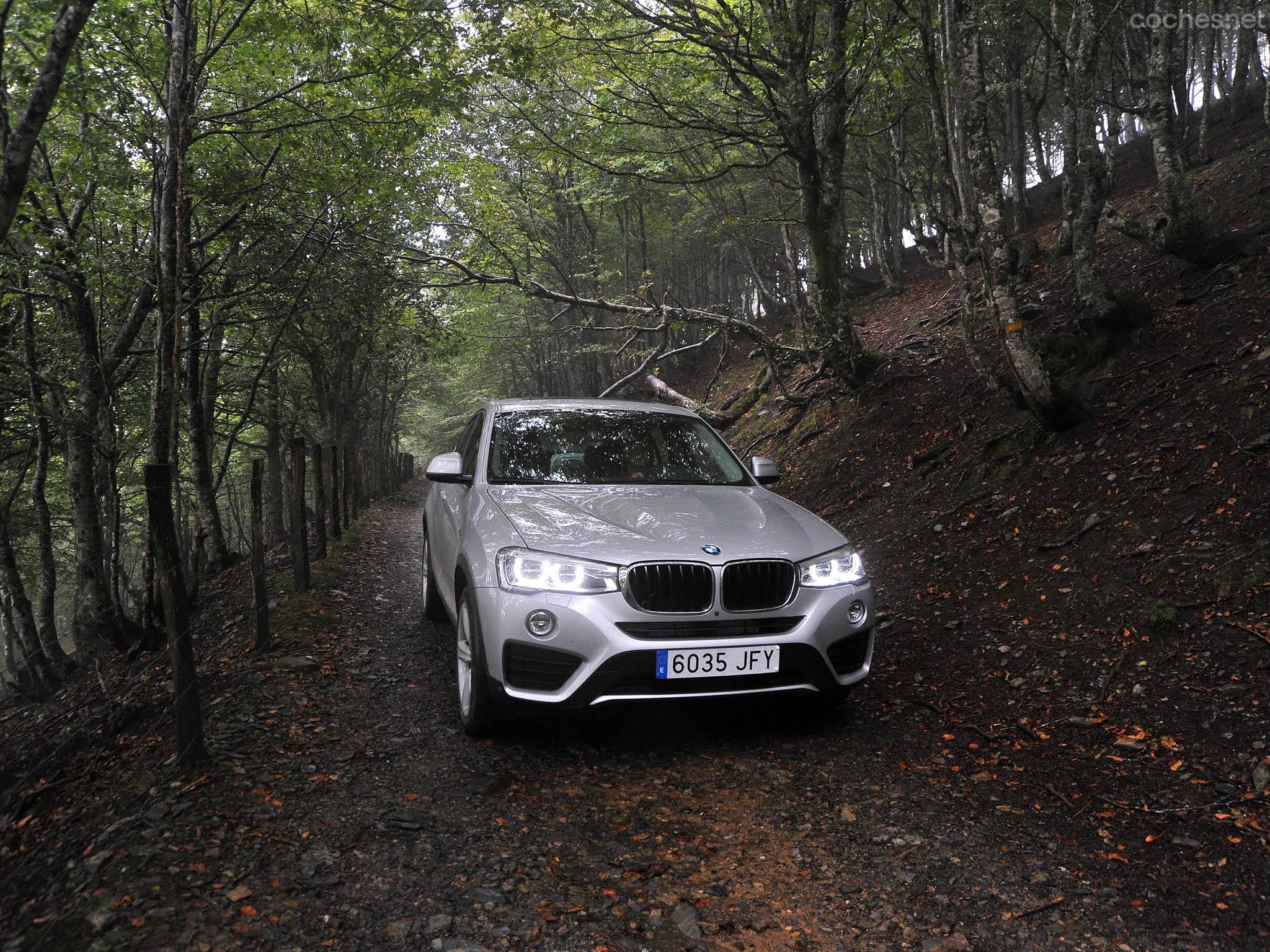 La bajada hacia Roncesvalles está encajonada en un bosque con algunos tramos de profundo barro