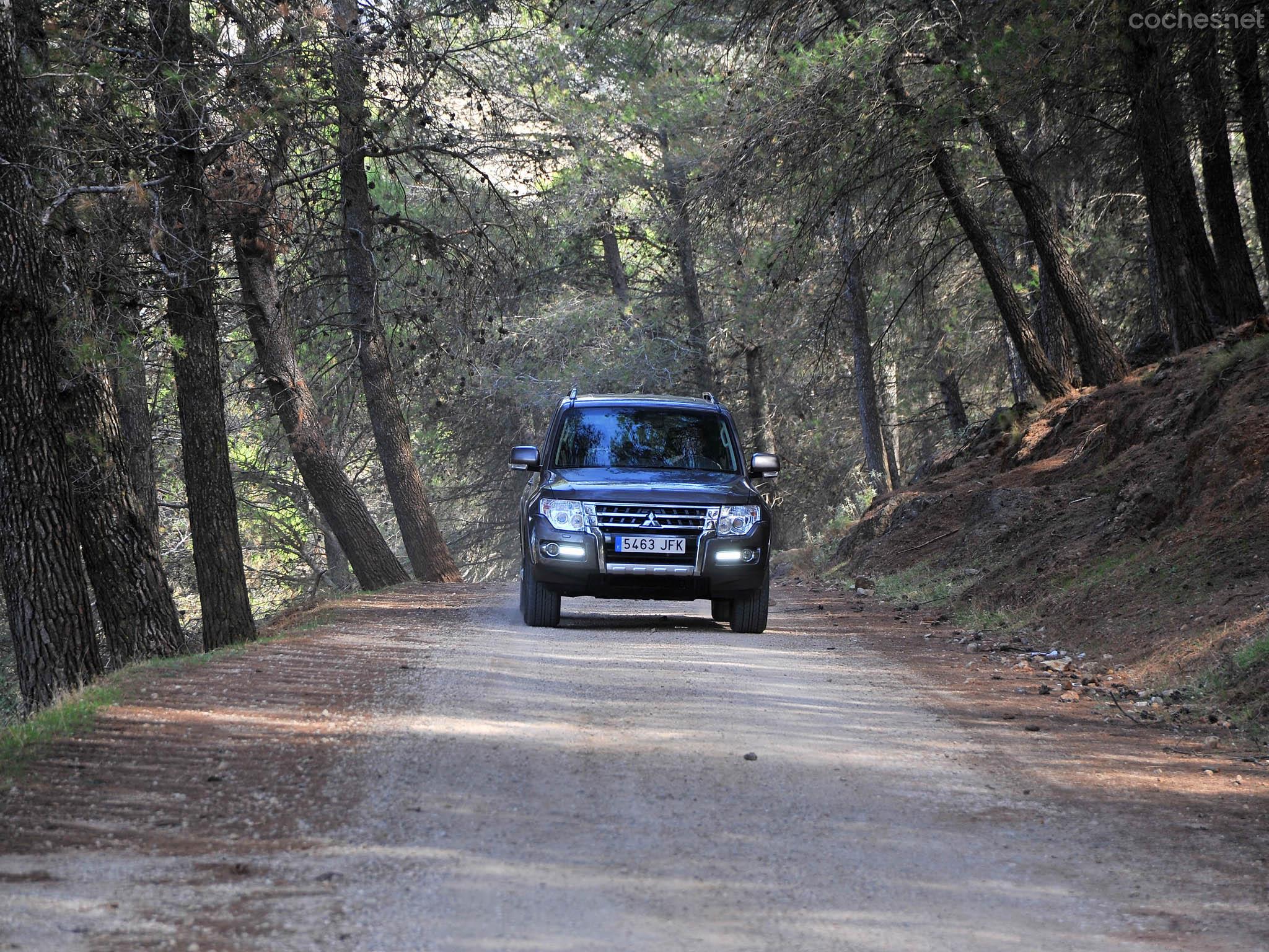 Llegando a Villanueva del Trabuco, por un cerrado bosque