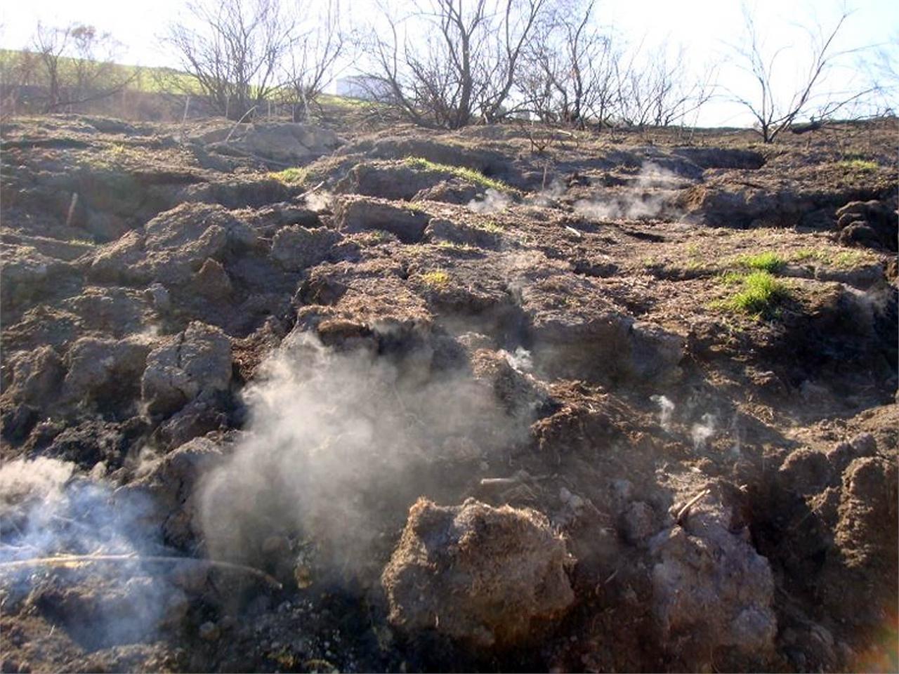 Los incendios de las turbas en 2009 pusieron al parque en estado crítico