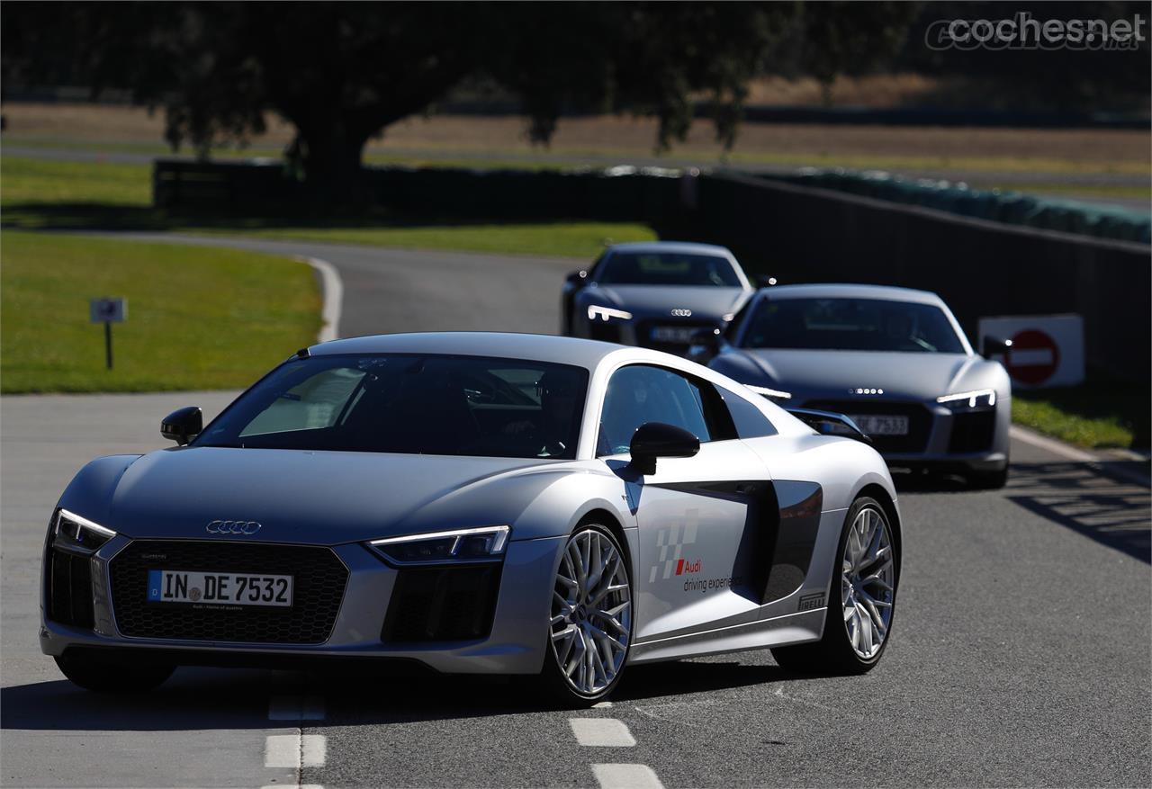 El Audi R8 V10 Plus es uno de los superdeportivos que más seguridad transmite en circuito, gracias a la nobleza de reacciones de su chasis y a la eficacia de su tracción integral.  