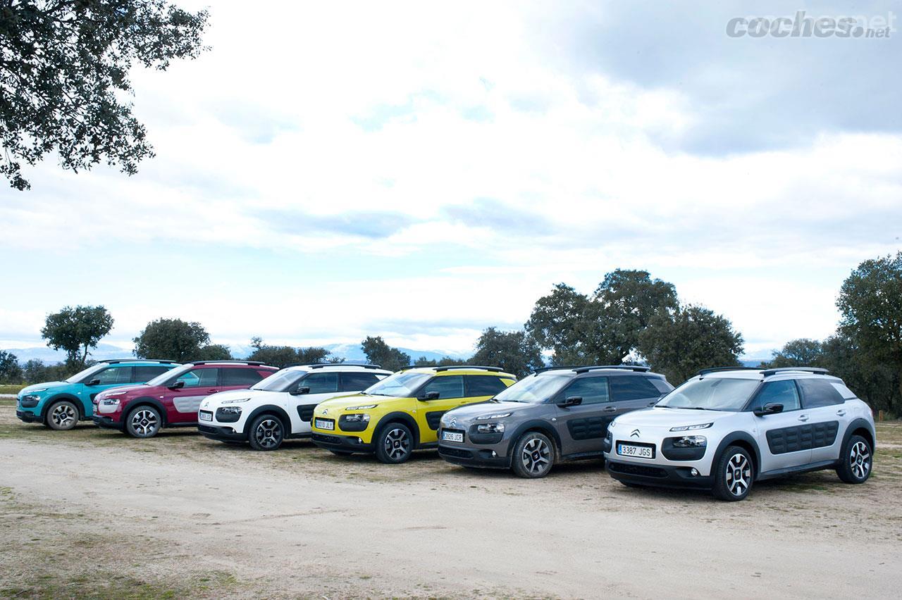 El Citroën C4 Cactus más personal