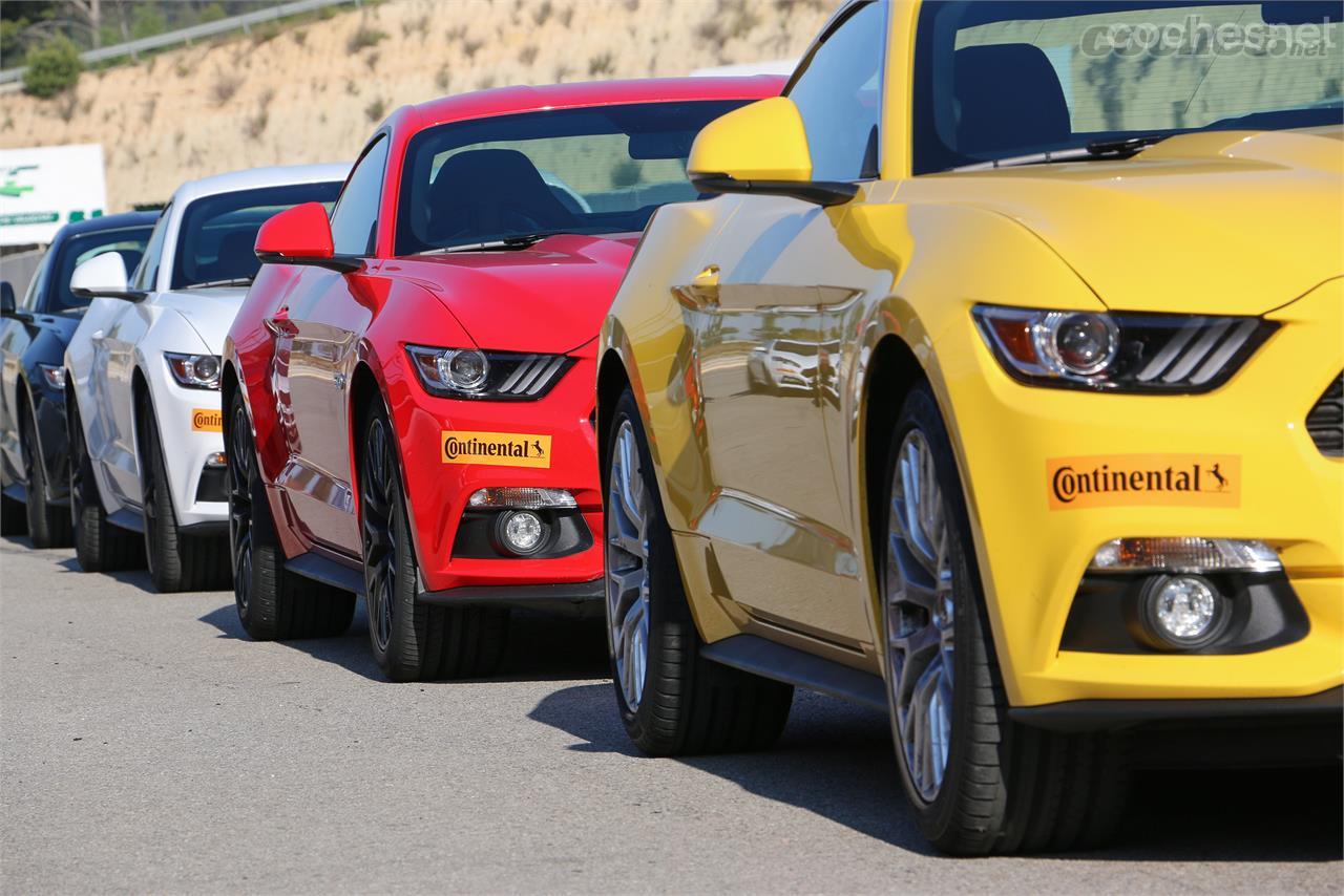 En el Ford Performance Driving Experience 2016 se conducen las versiones ST de Ford y los Mustang en circuito. 